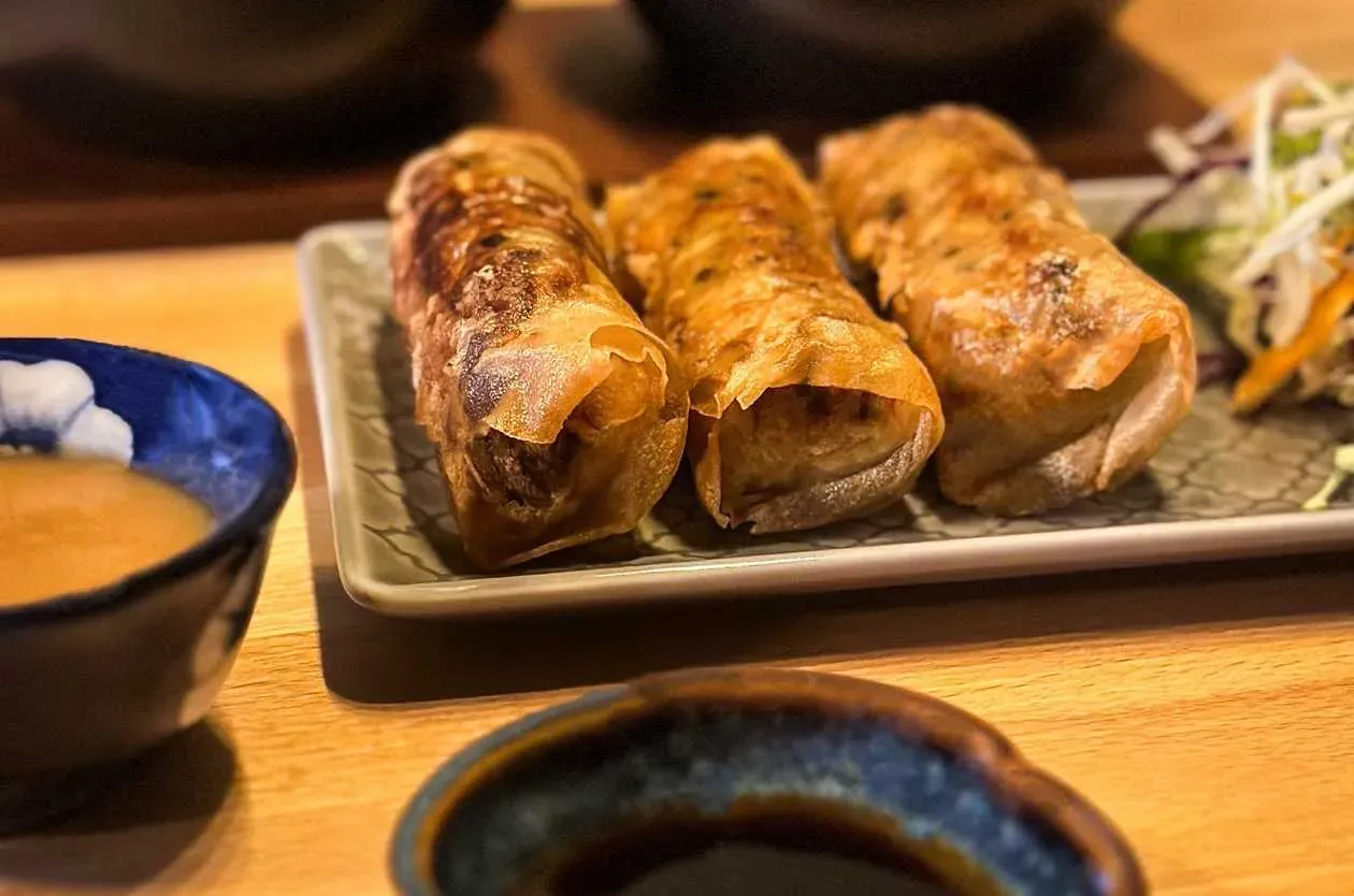 Tofu Spring Rolls