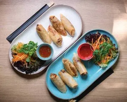 Spring Rolls