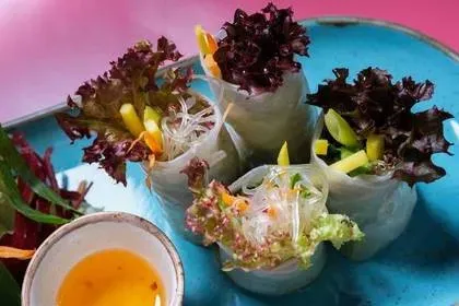 Fresh Spring Rolls