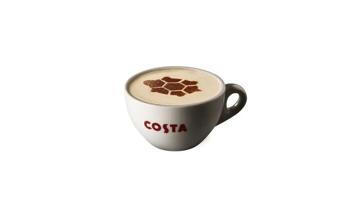 Turtle Chai