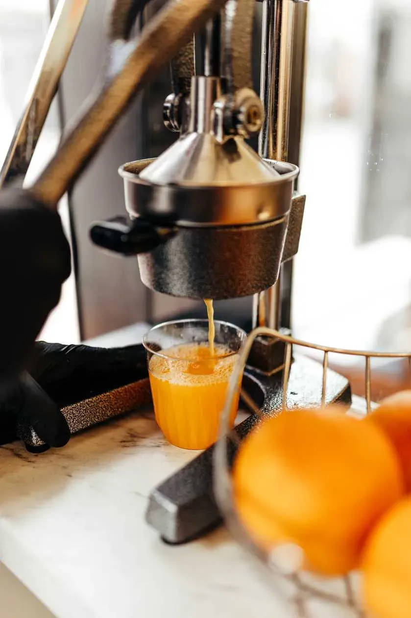 Freshly Squeezed - Grapefruit Juice 0,3l