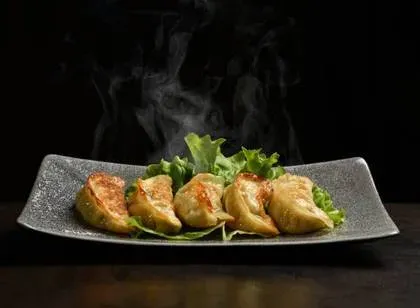 Gyoza Yake Dumplings