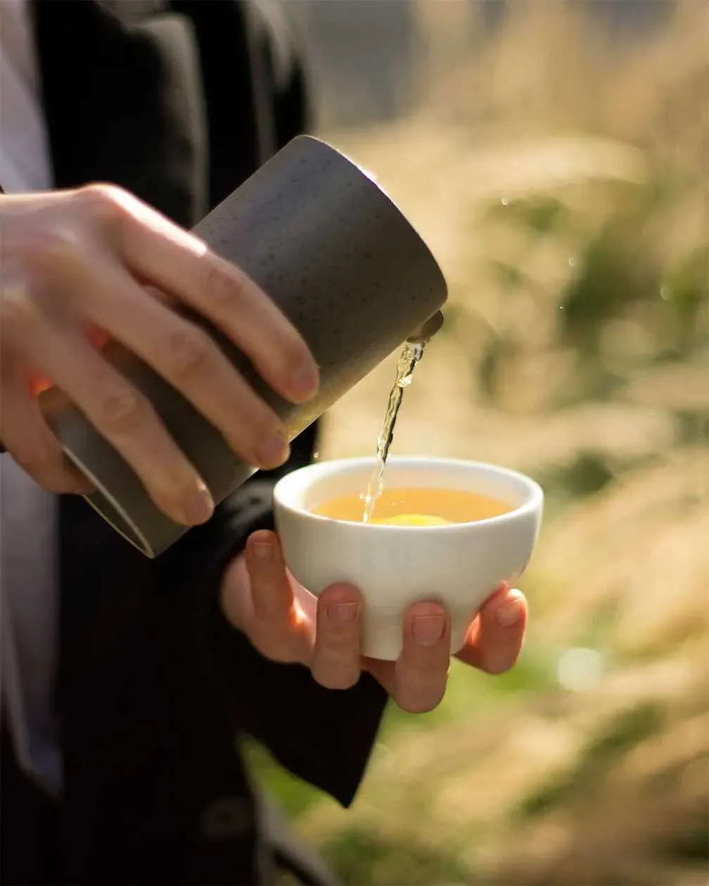 Sencha Tea