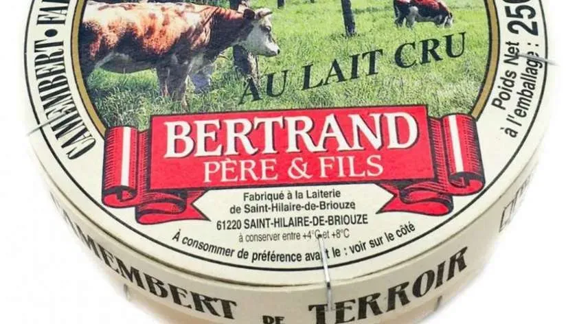 Camembert