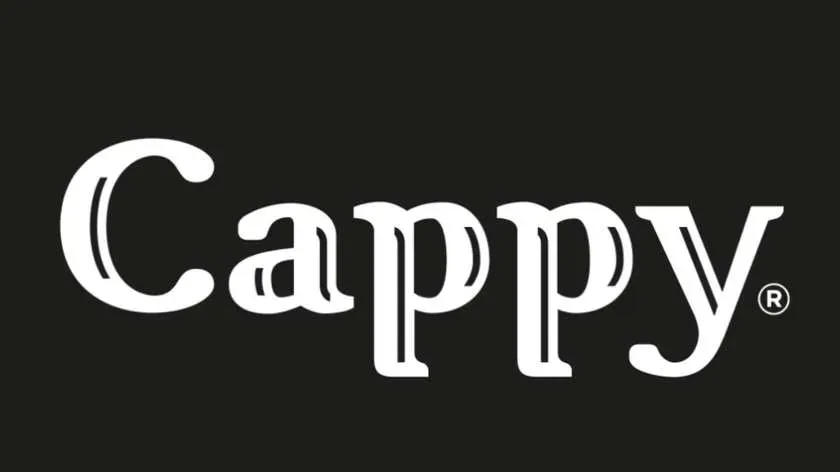 Cappy pomarańczowy 330ml