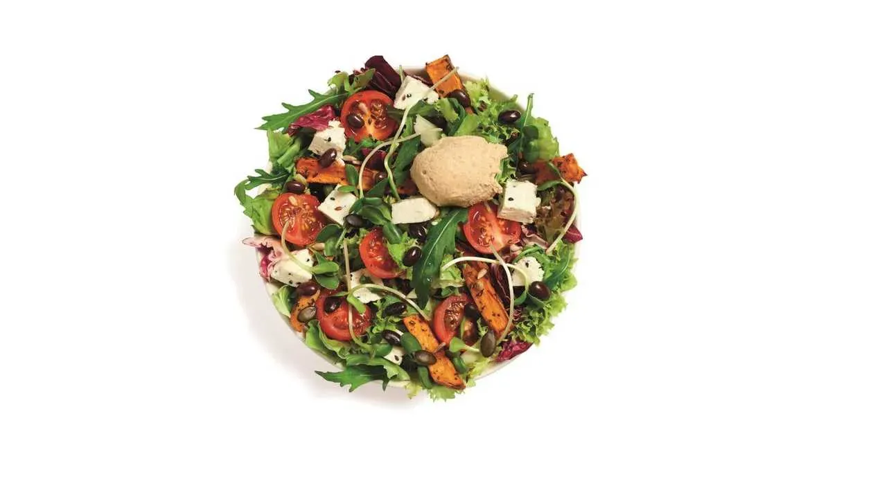 Vege Panir Salad