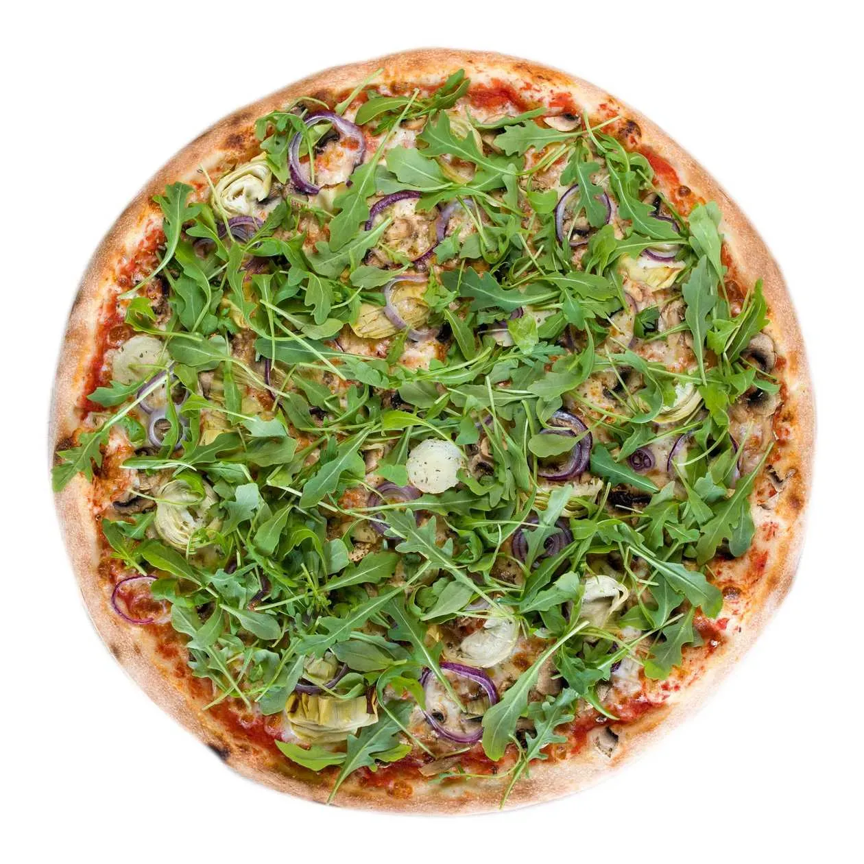Wege artichoke