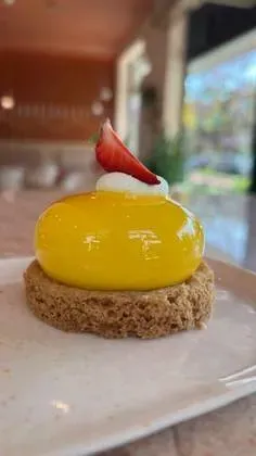 Egzotic