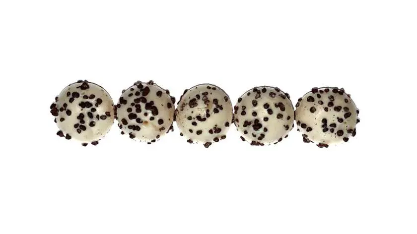 Zestaw bites 5 szt