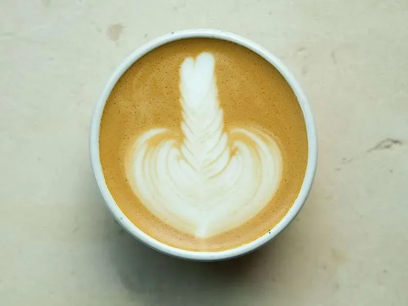 Cappuccino XL