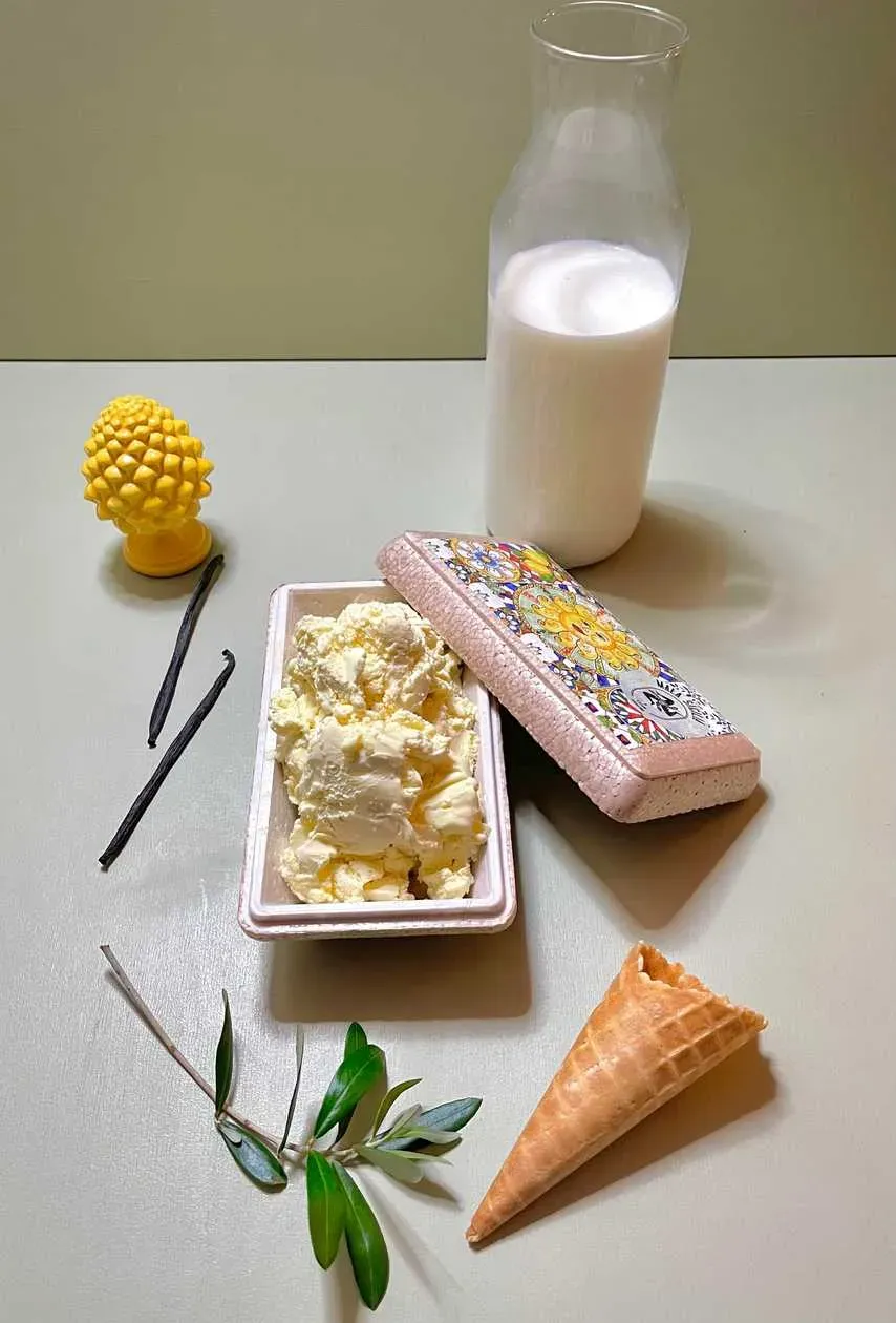 Vanilla Ice Cream 500ml