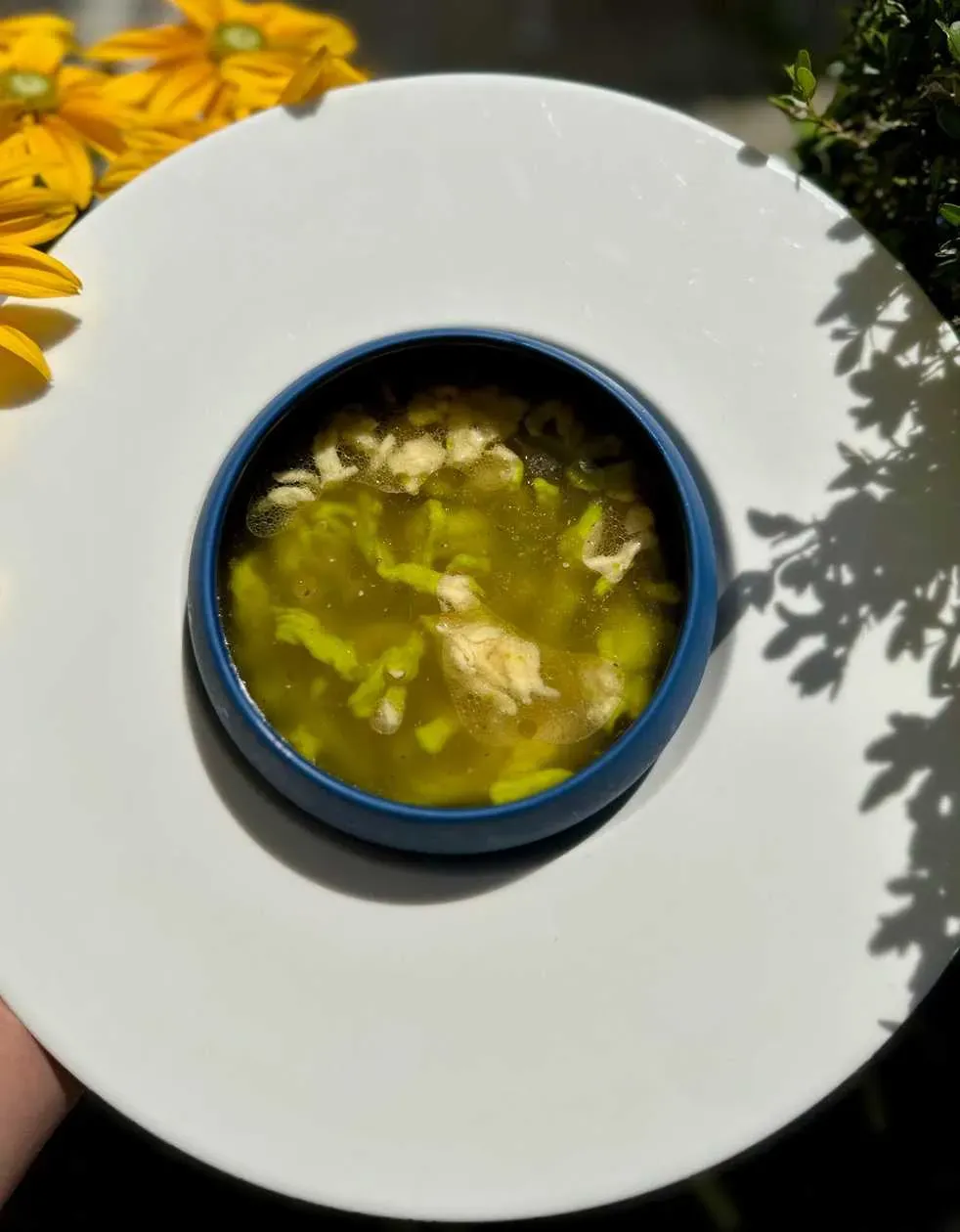 Duck Broth Soup