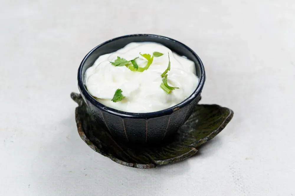 Plain Yogurt Plain Yogurt