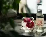 To nic ginger beer