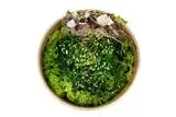 Sałatka Wakame