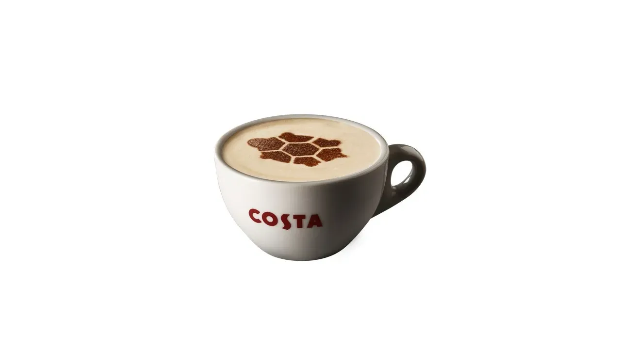 Turtle Chai