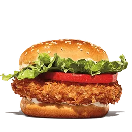 Crispy Chicken