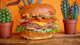 Spicy Arizona burger  <3
