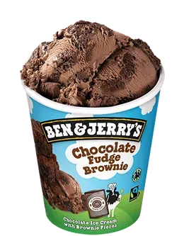 Ben & Jerry's Chocolate Fudge Brownie 465 ml