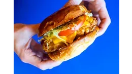 Classic Chicken Burger