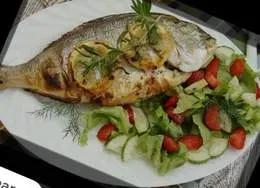 Dorada grillowana