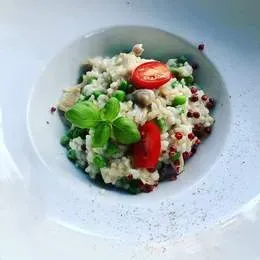 RISOTTO PORCINI