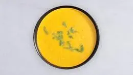 Dal shorba