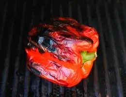 Grillowana papryka