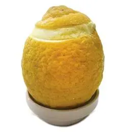 Lodowy deser Limon cytryna nadziewana