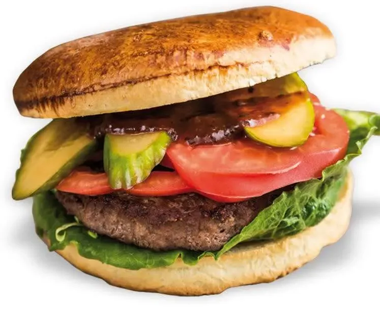 Burger Single