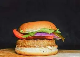 Vegan Burger 113g