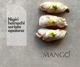 Hamachi seriola opalana
