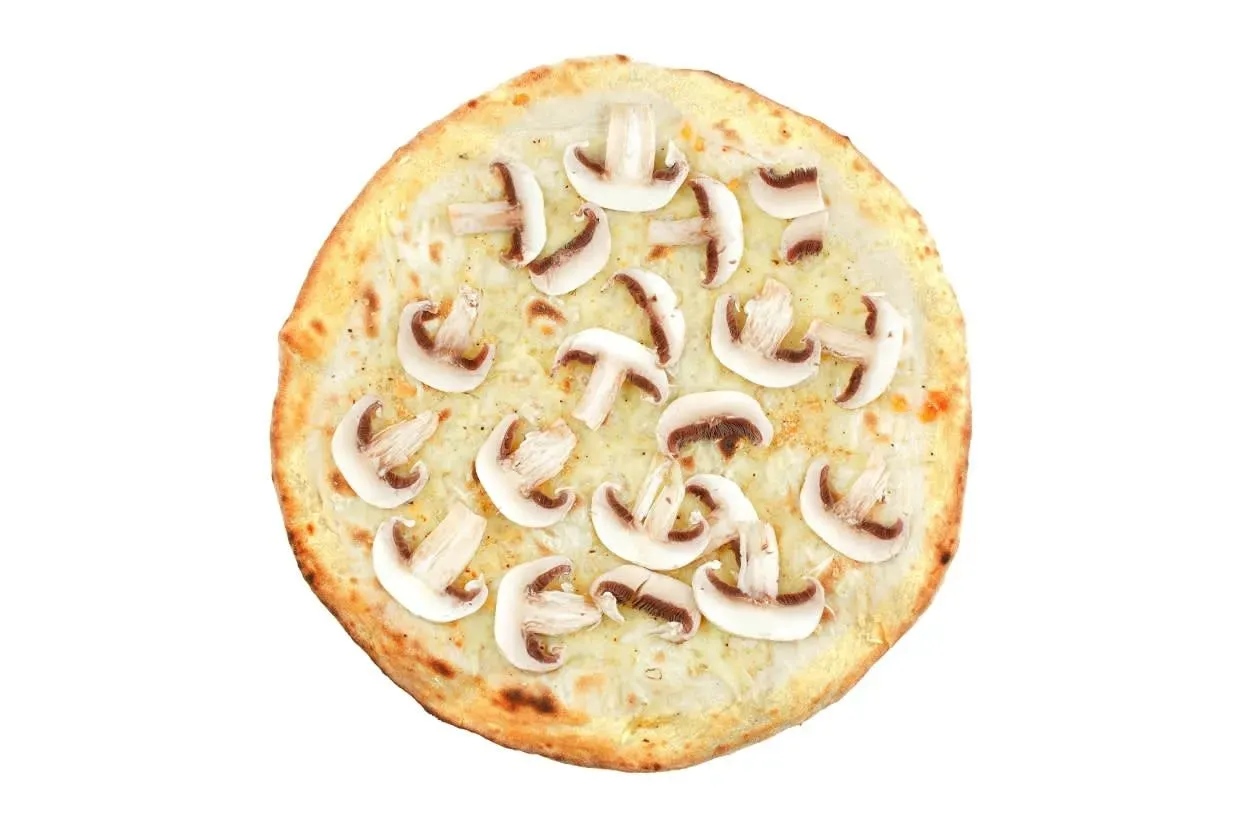 Vege Fungia