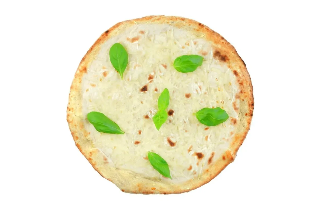 Vege Mazovia