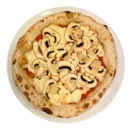 Funghi