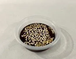 Słodki teriyaki