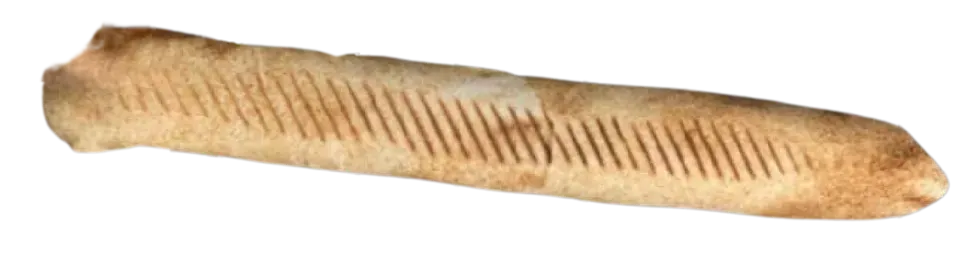 Durum xxl 50 cm