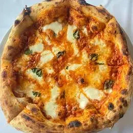 Bolognese