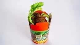 Vege Box