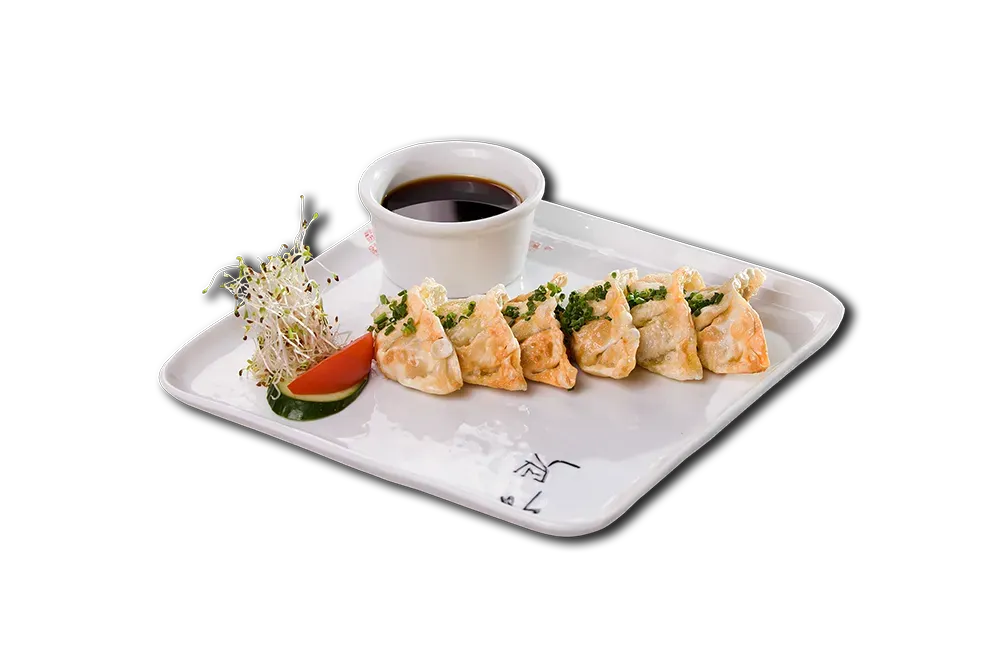 Niku gyoza