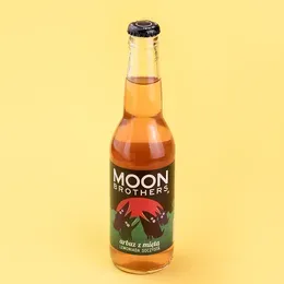 Moon Brothers