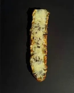 Pieczarka