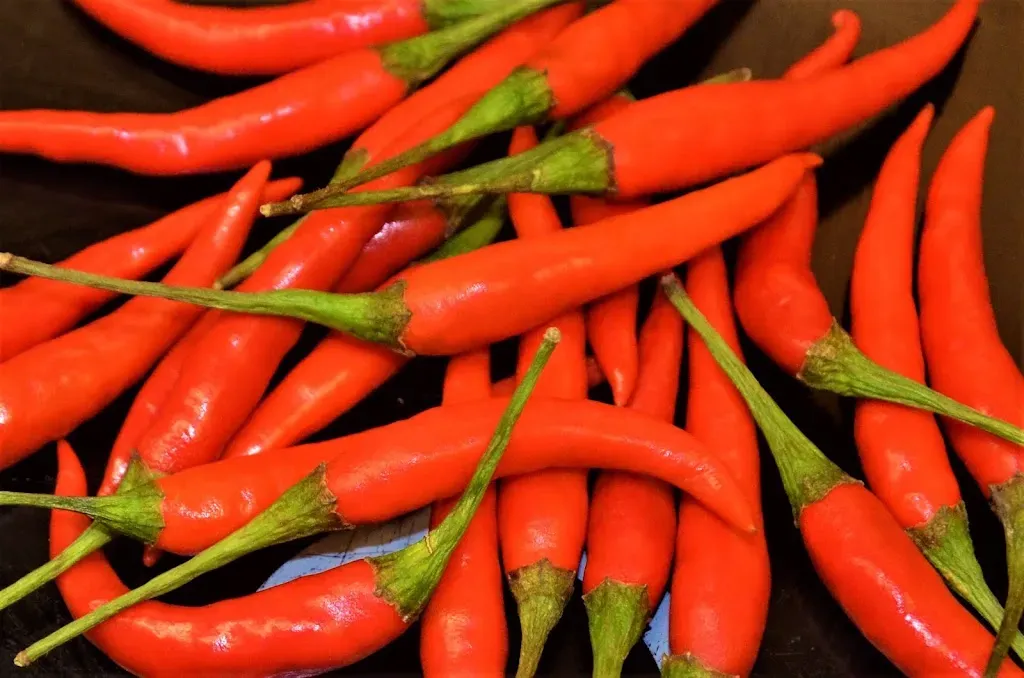 Chilli