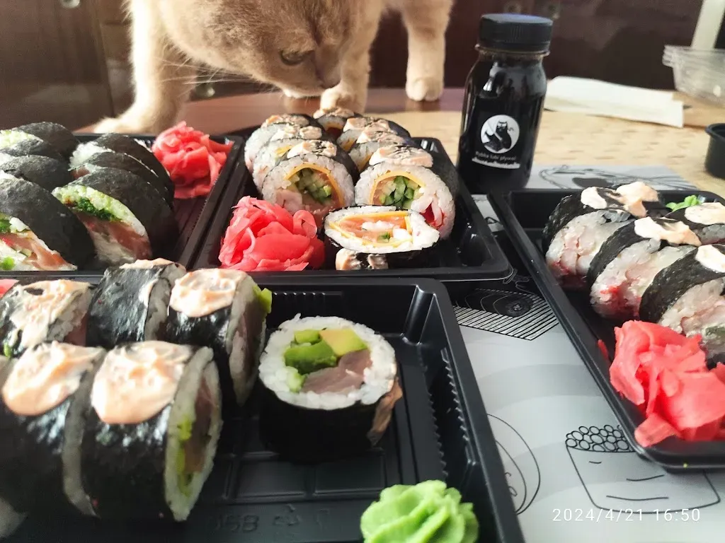 Sushi #ULOV