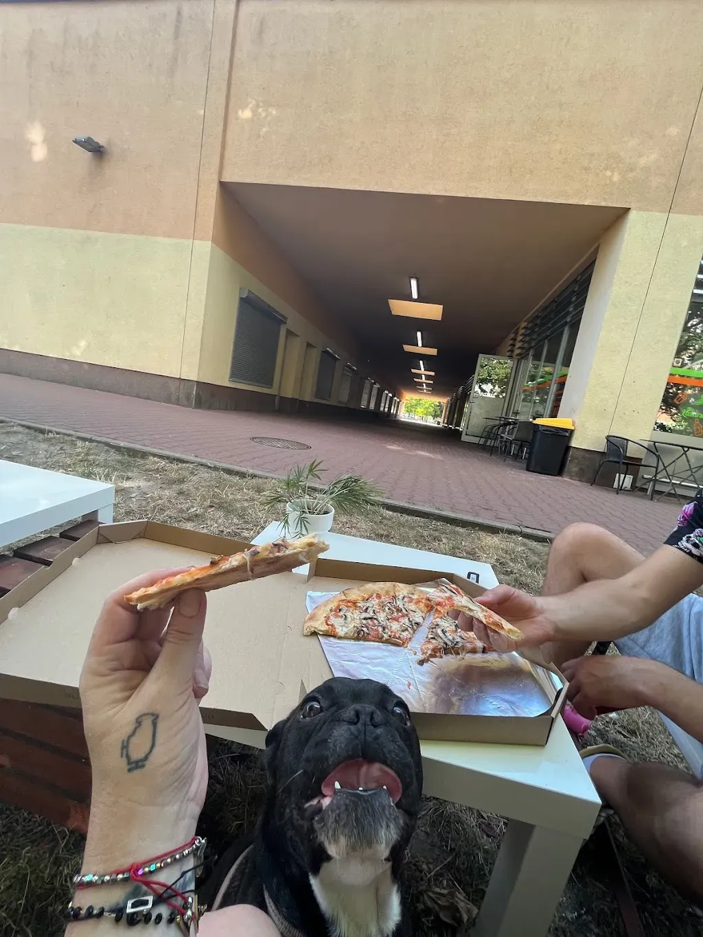 Pizzeria Na Łazarskim Cieście Winogrady