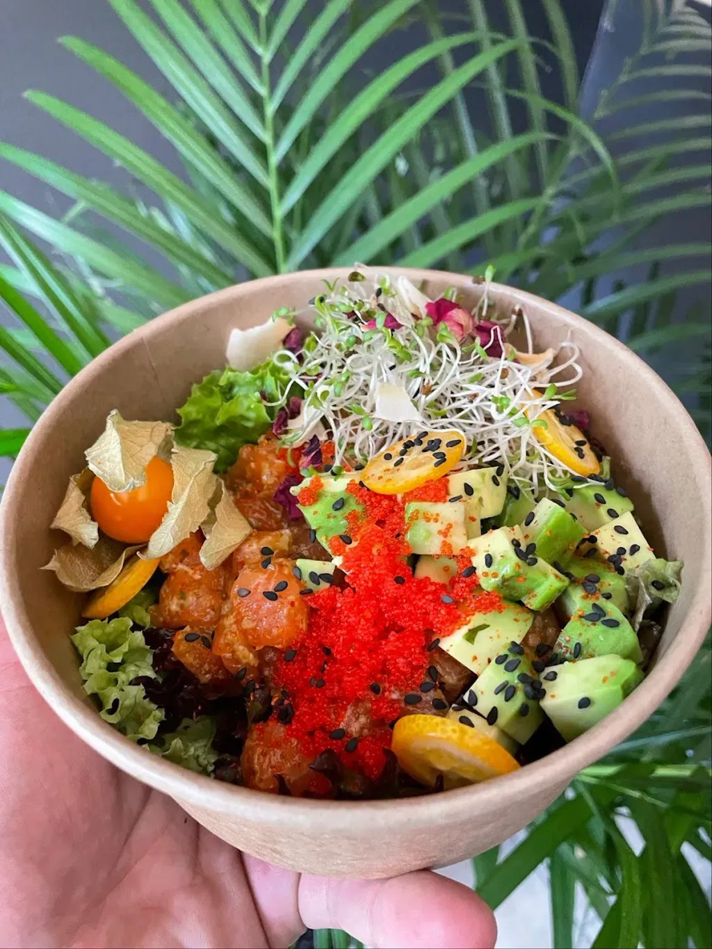 Sushi Dream