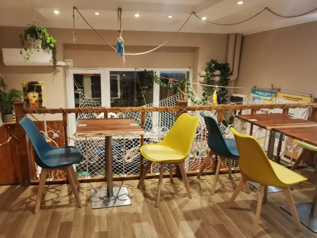 J&G Palacsintafaló • Crepes | Óriás palacsinta
