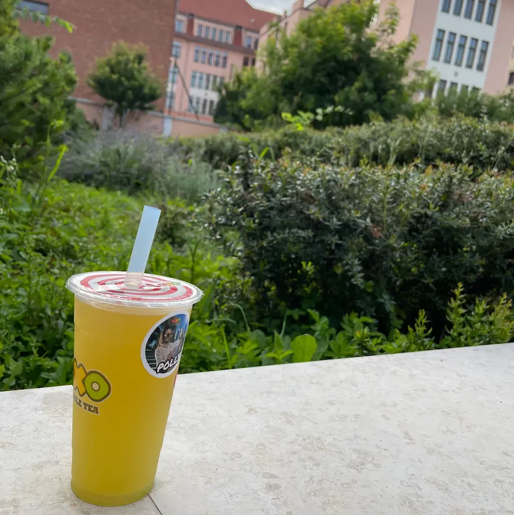OXO Bubble Tea - Allee