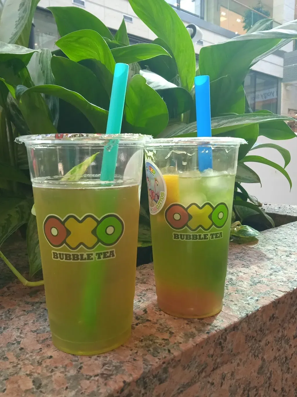 OXO Bubble Tea