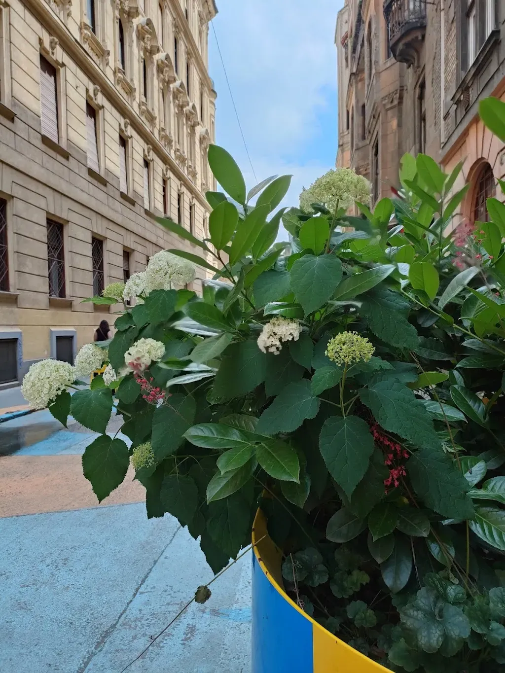 Ké Bolá Budapest